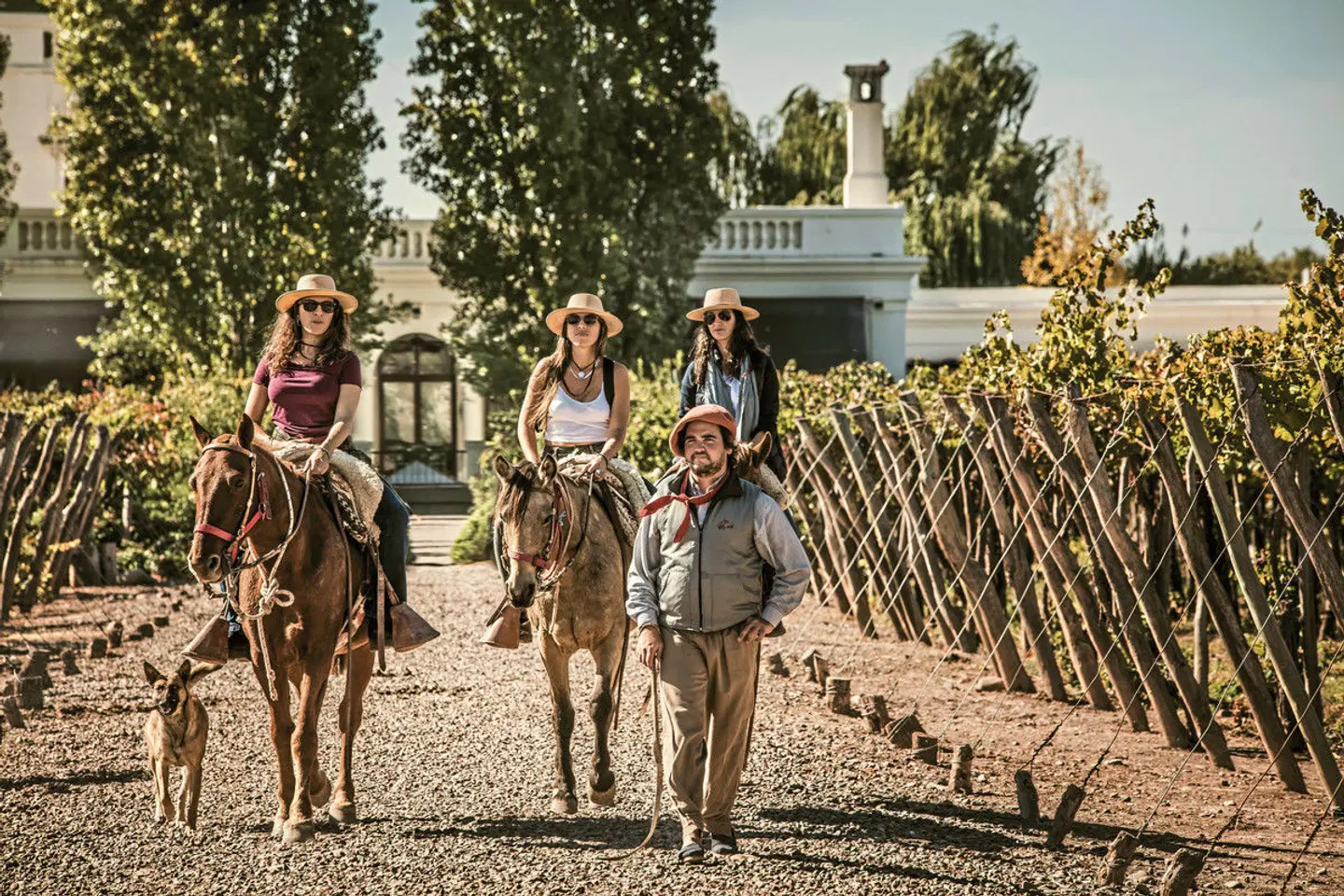 Cavas Wine Lodge LANDSCAPE
