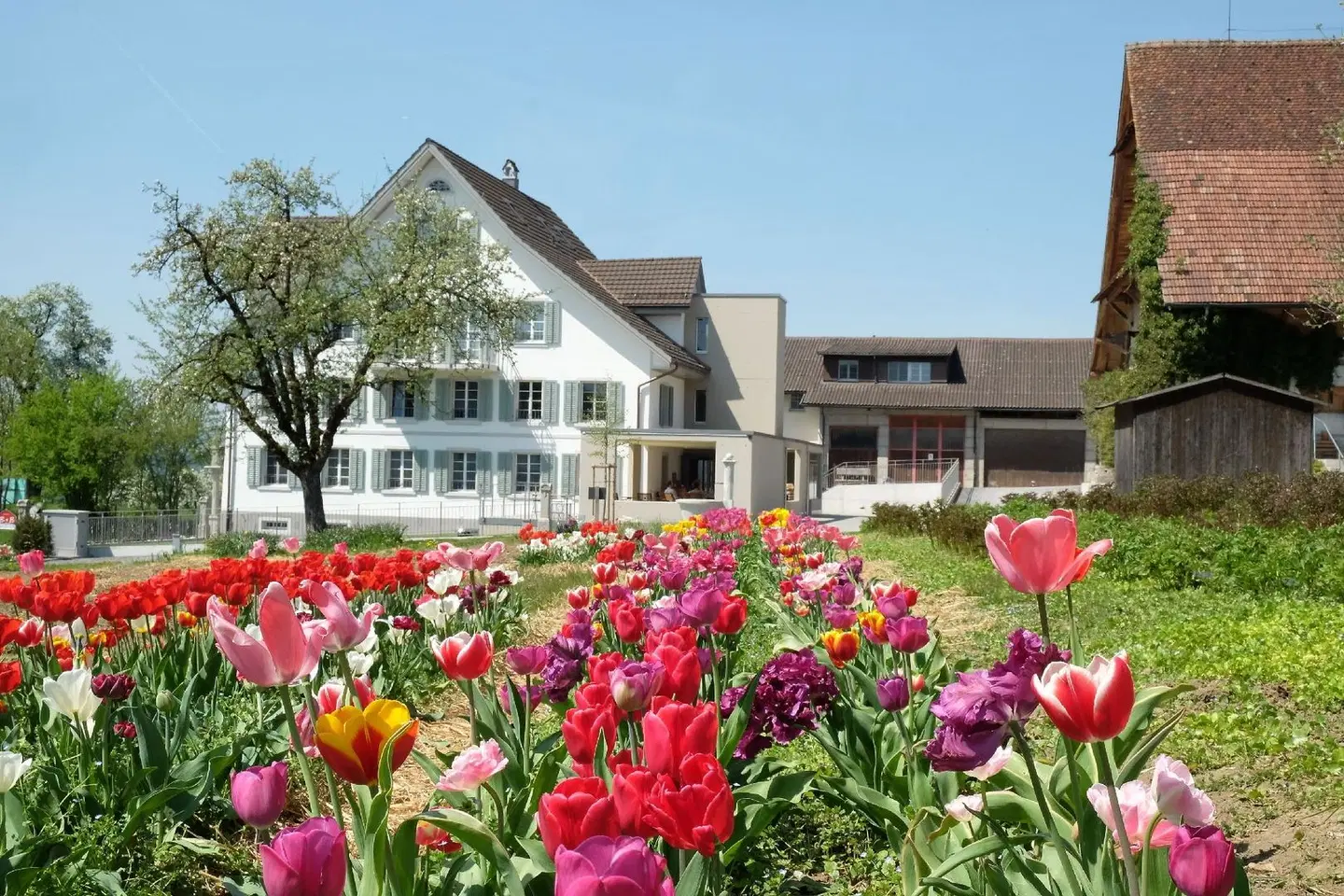 Gasthaus zum Bauernhof EXTERIOR