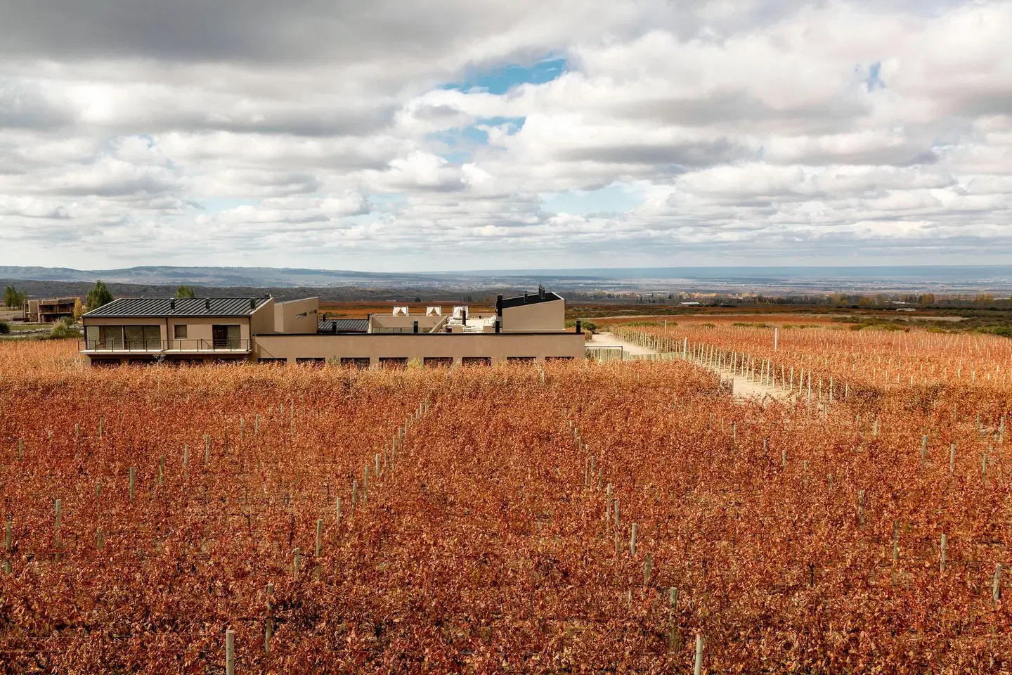 Auberge du Vin, a Tribute Portfolio Hotel, Tupungato Konferenz