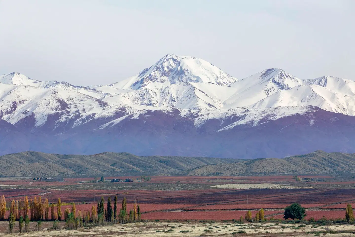 Auberge du Vin, a Tribute Portfolio Hotel, Tupungato LANDSCAPE