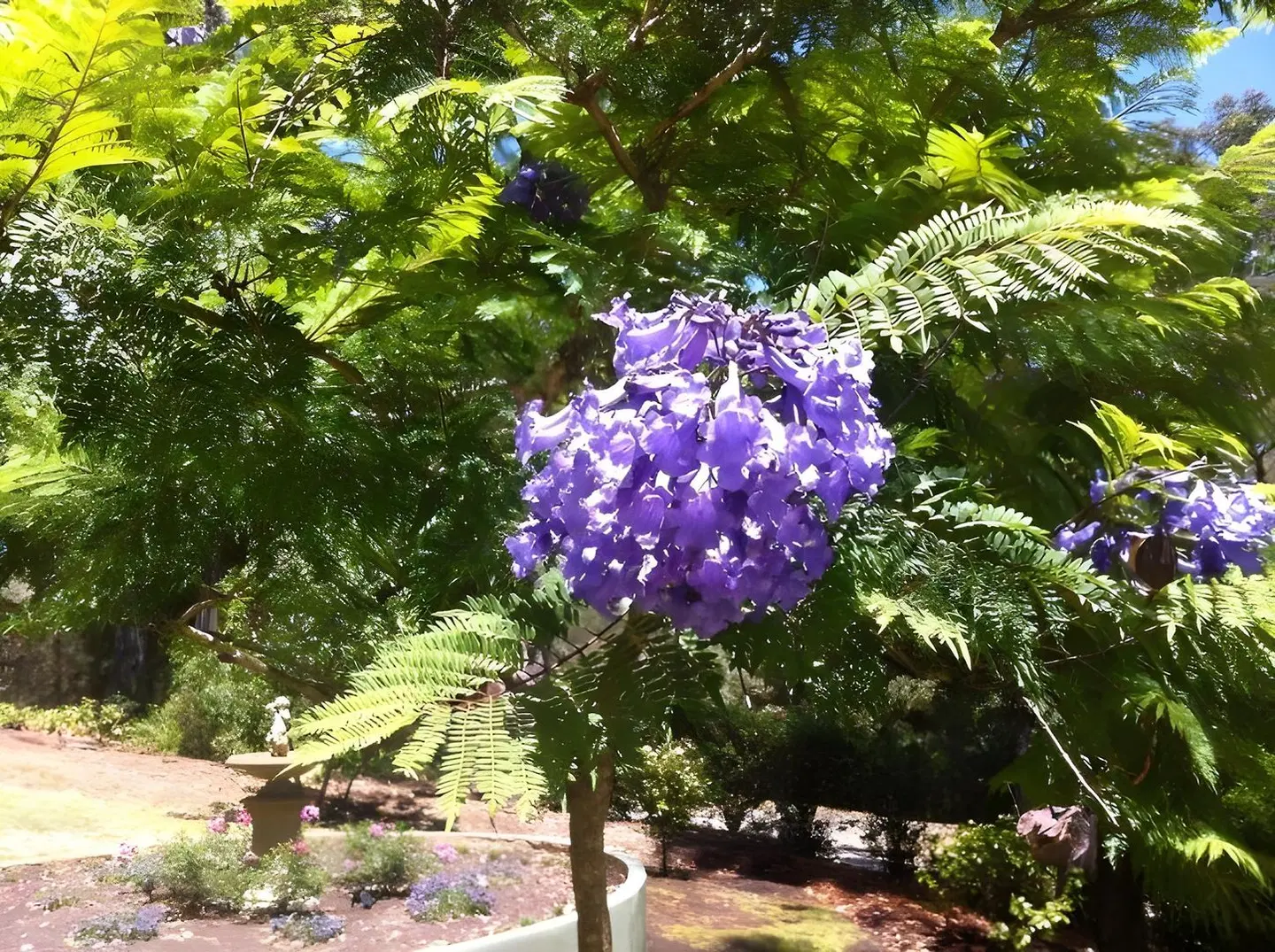 Glenview Retreat Luxury Accommodation Garten