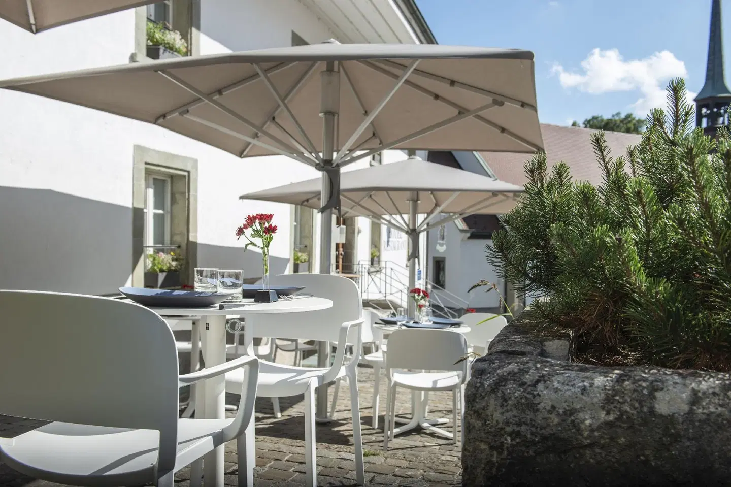 Le Sauvage Terrasse