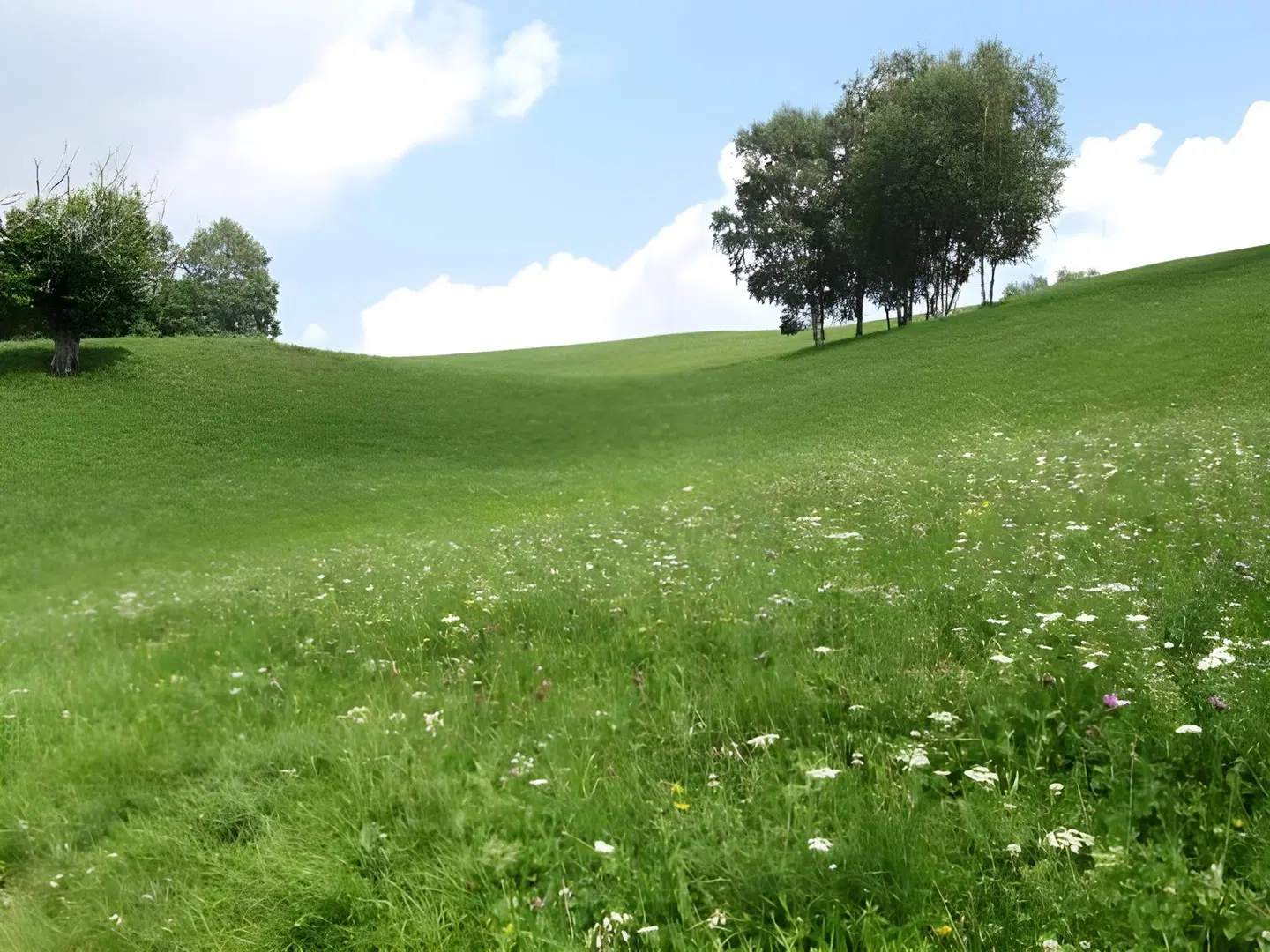 Cacciatori LANDSCAPE
