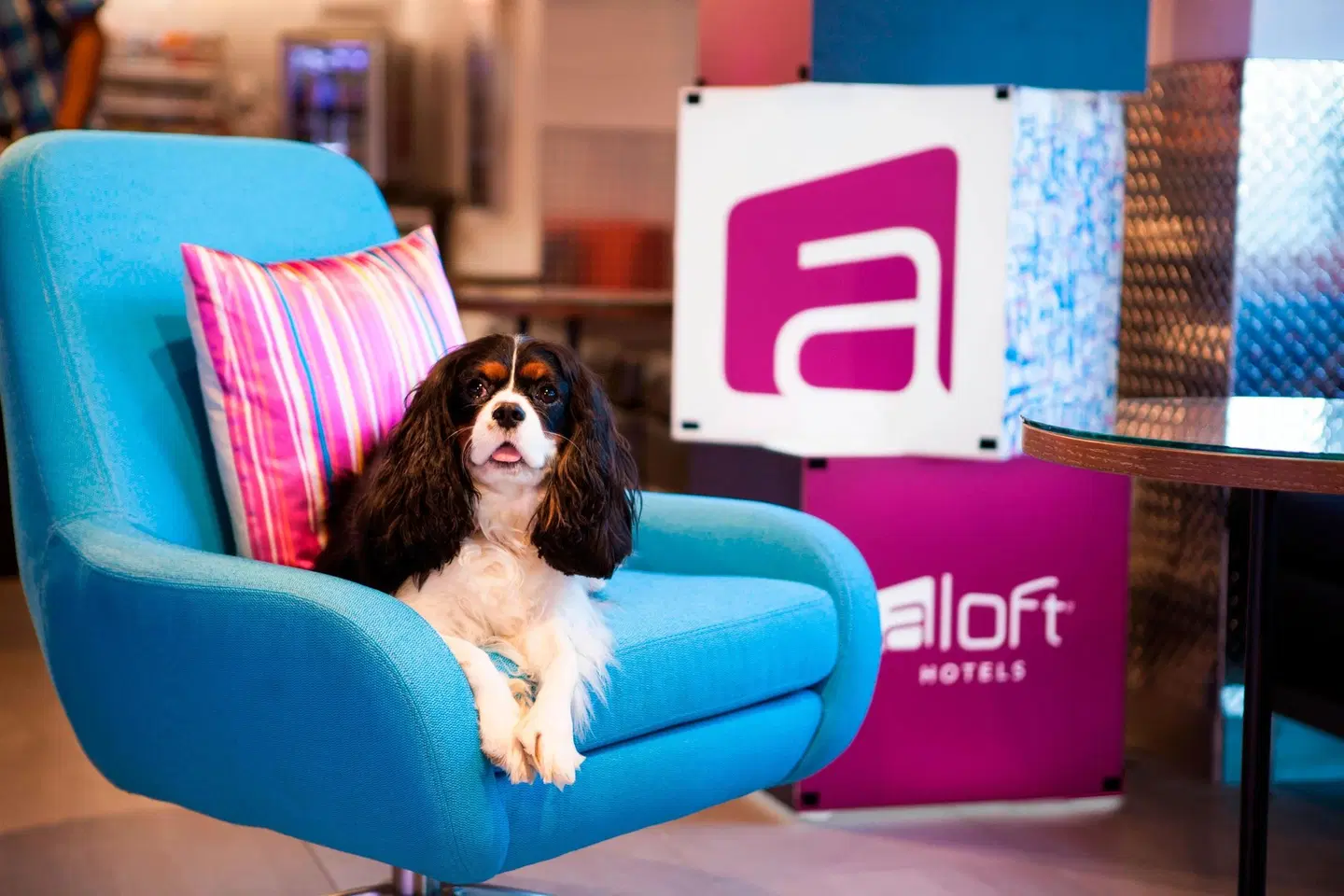 Aloft by Marriott Miami Dadeland PEOPLE