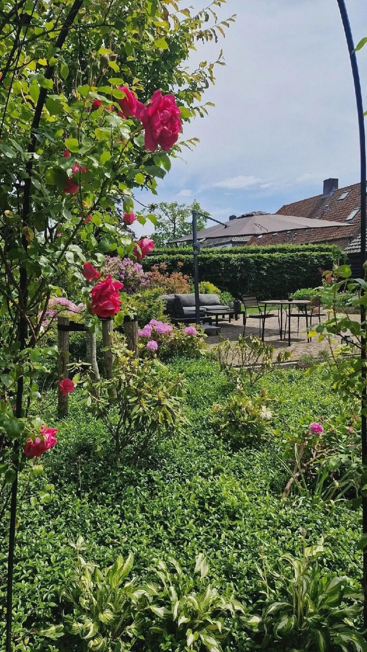 Boutique Hotel Lytel Blue Garten