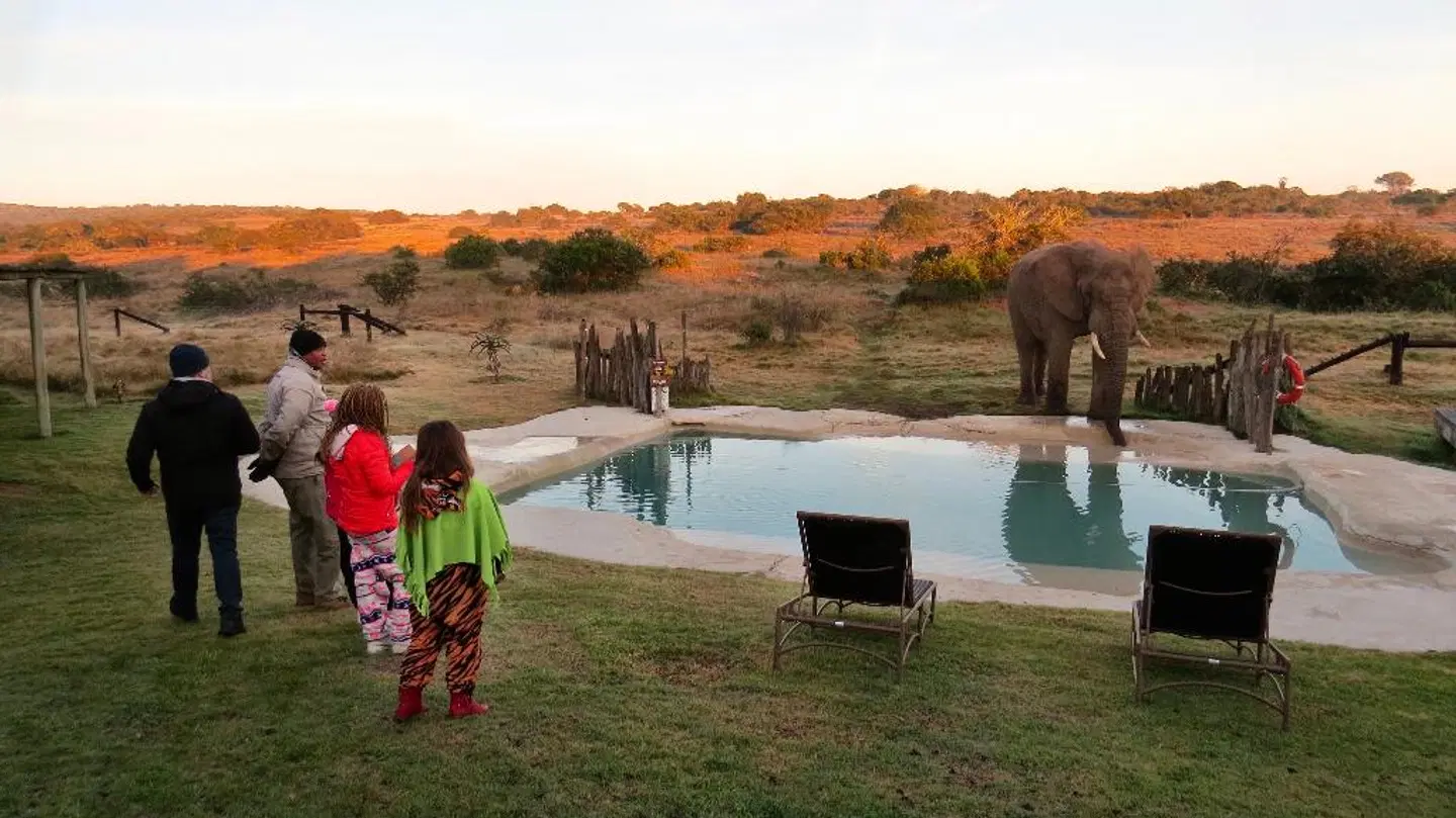 Amakhala Game Reserve - Hlosi Game Lodge OUTDOOR_POOL