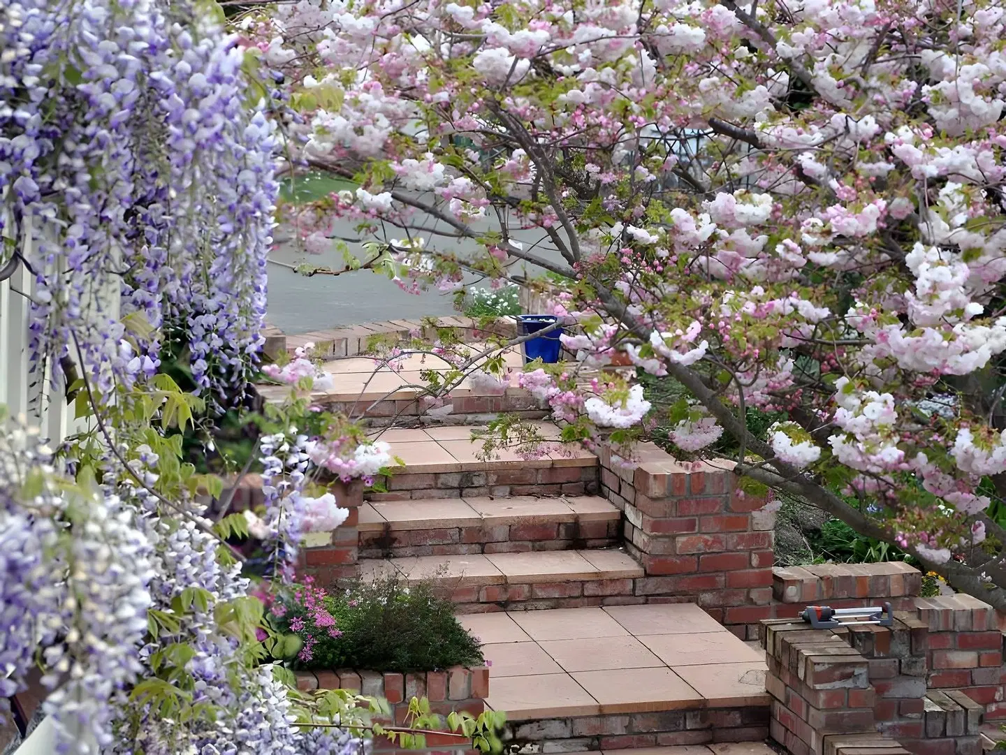 Dyers House Garten