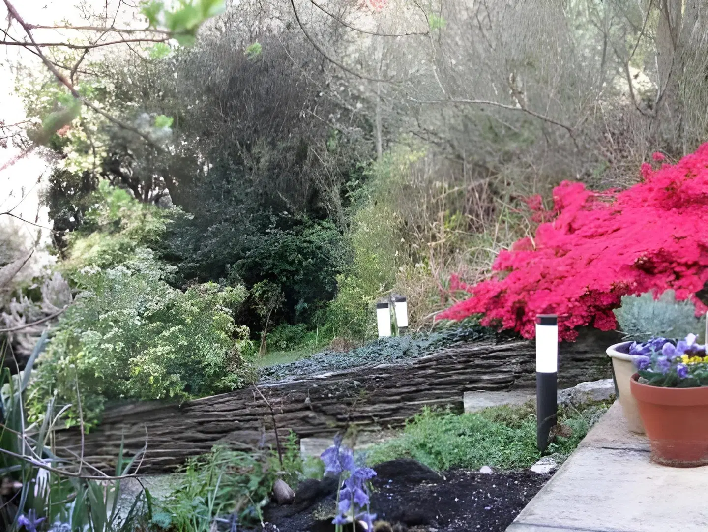 Cliftons Guest House Garten