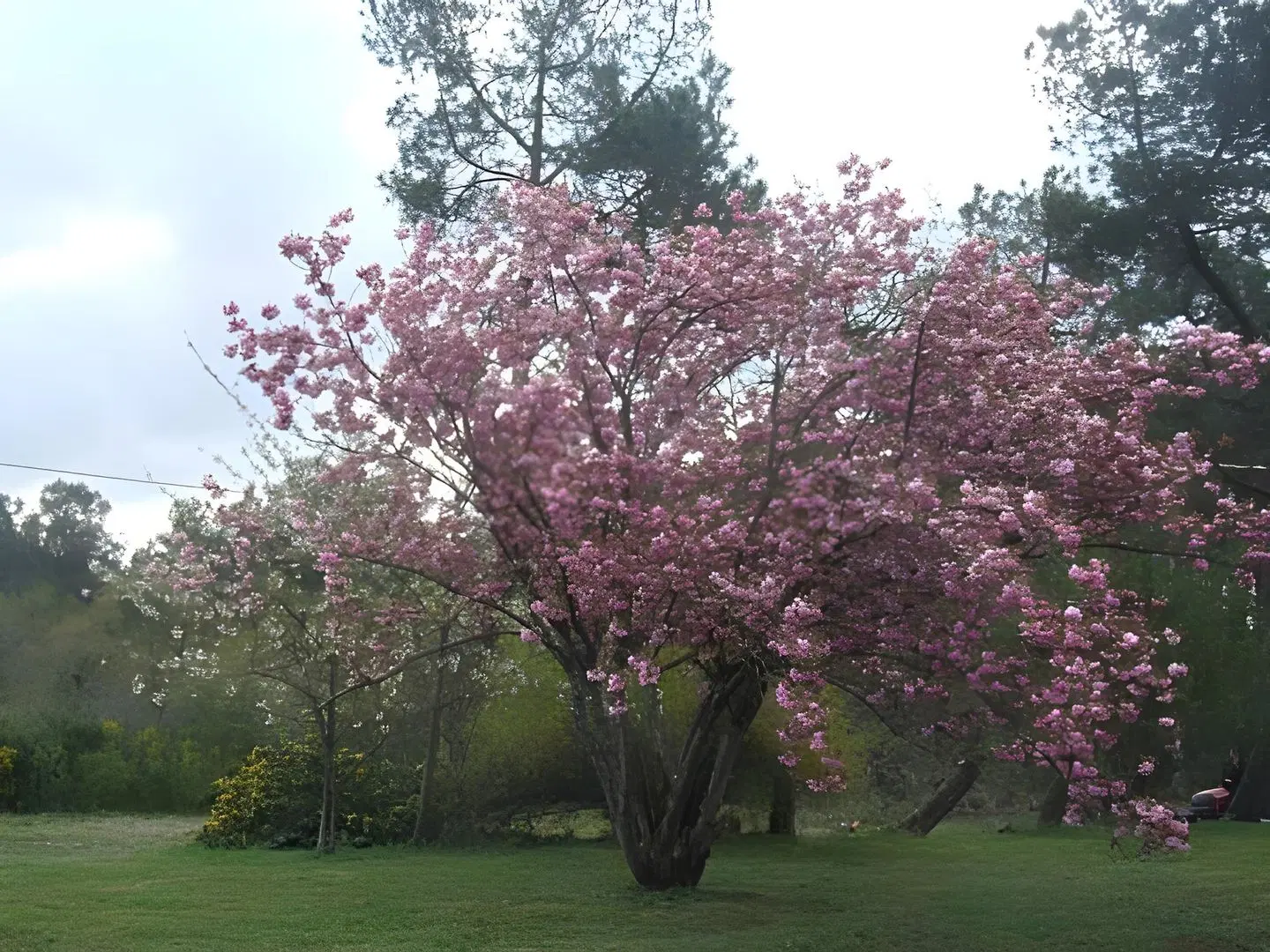 Le Clos du Chêne Garten