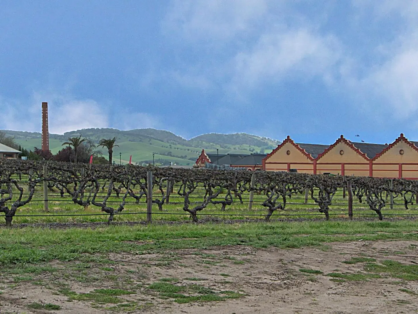 Barossa Vineyard Guesthouse Tiere