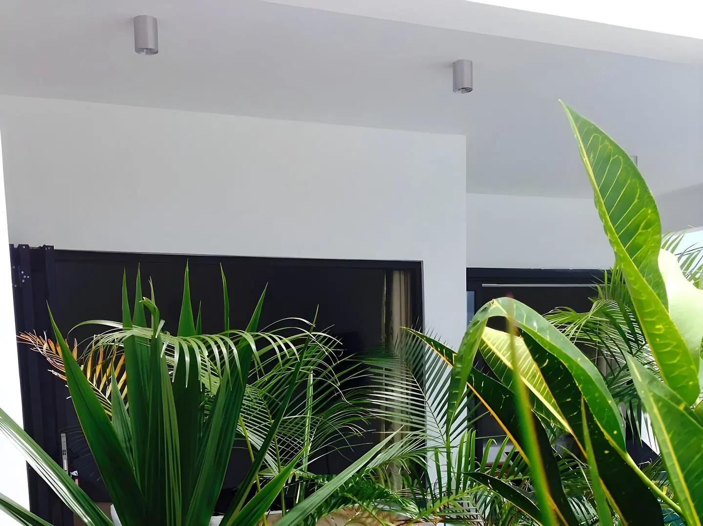 Pingo Premium LOUNGE_LOBBY