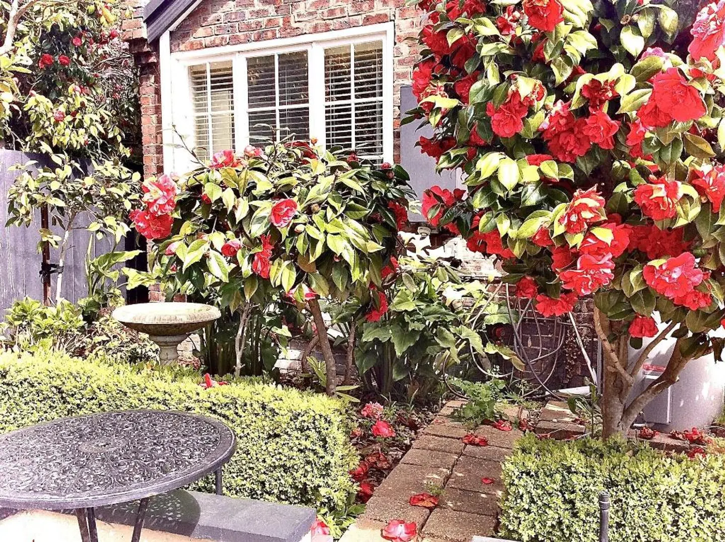 Kurrajong House Bed & Breakfast Launceston Garten