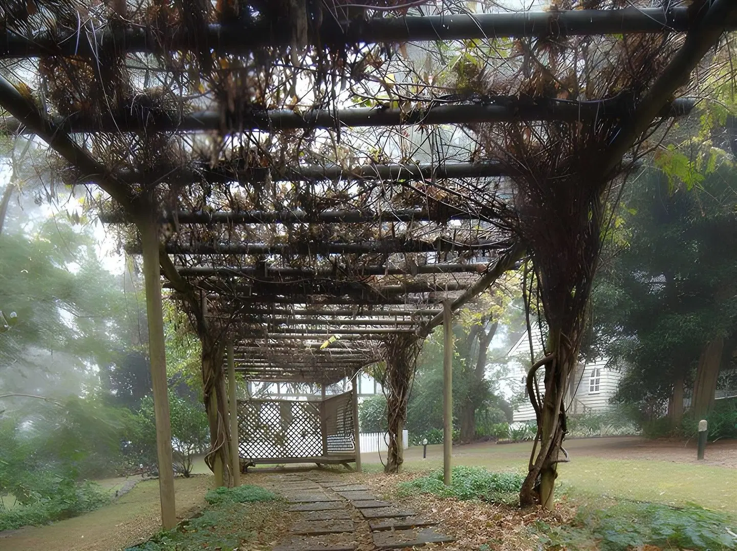 Lisson Grove Garten