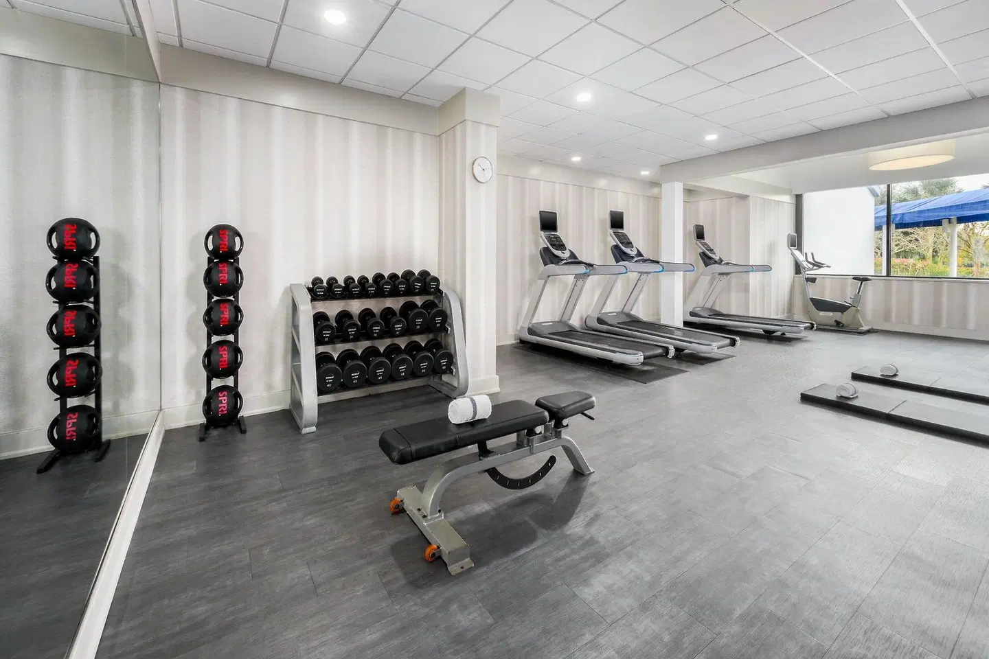 Crowne Plaza Jacksonville Airport by IHG SPORTS_AND_LEISURE