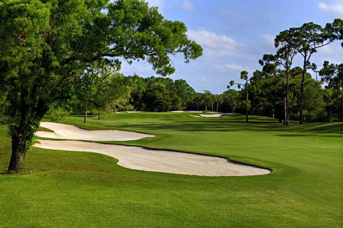 The Seagate Hotel, Golf & Beach Club, Autograph Collection SPORTS_AND_LEISURE