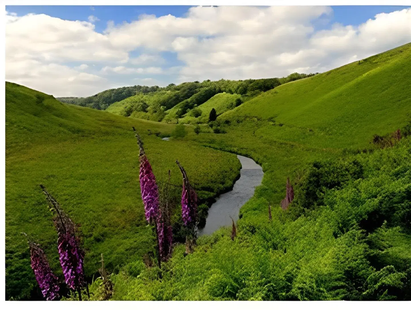 The Exmoor Forest Inn LANDSCAPE