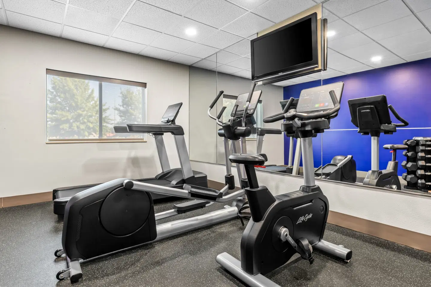 Holiday Inn Express & Suites Florence Northeast by IHG SPORTS_AND_LEISURE