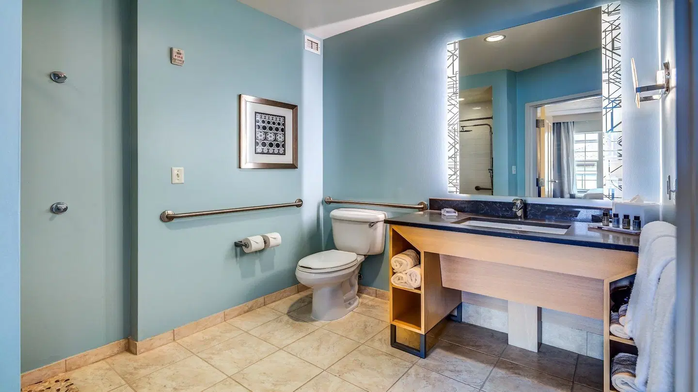 Hotel Indigo Jacksonville-Deerwood Park by IHG Badezimmer
