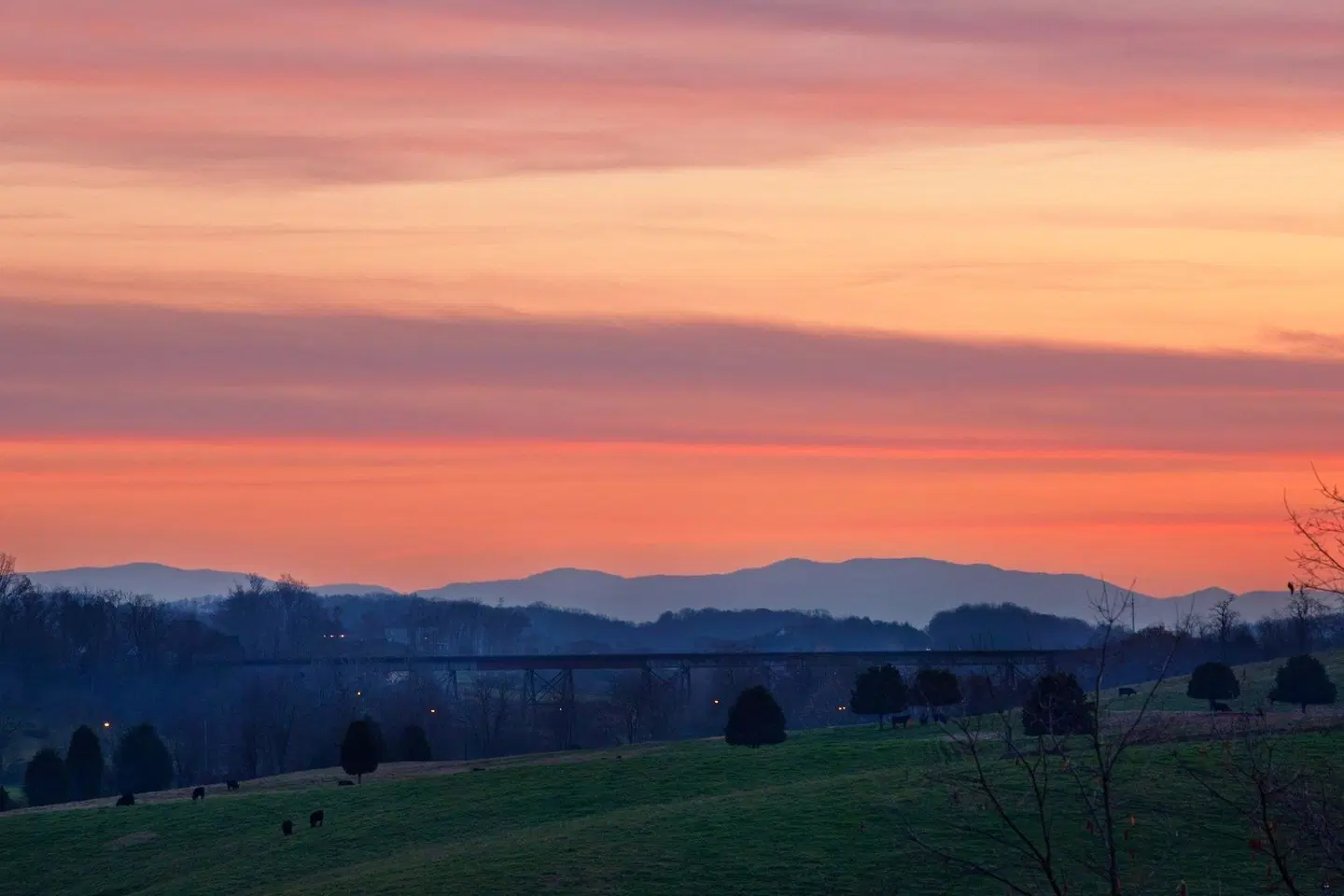 Holiday Inn Express Johnson City by IHG LANDSCAPE