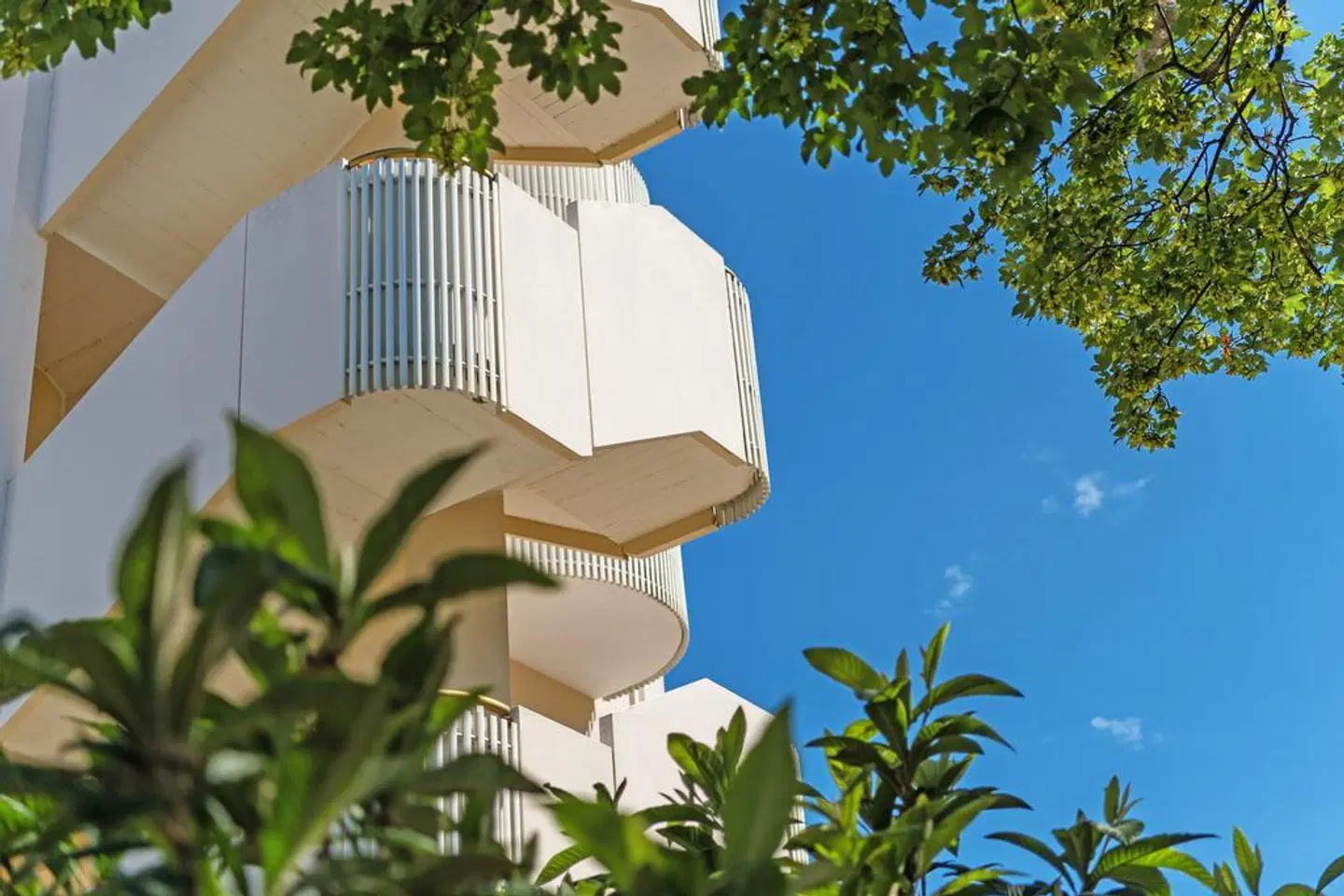 Salus Smart & Chic Hotel Tiere