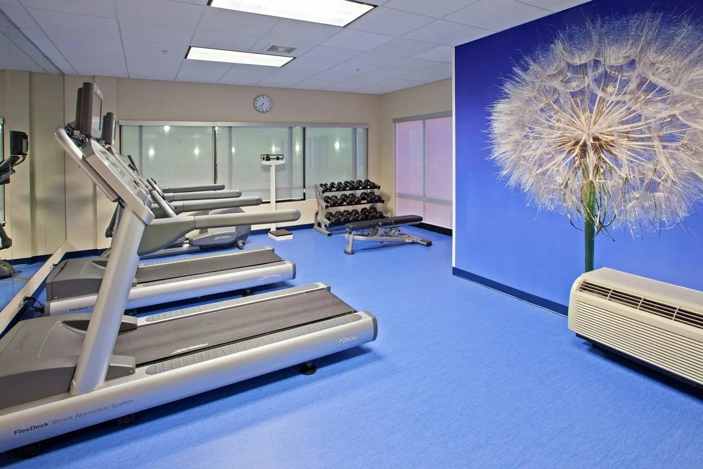 SpringHill Suites Louisville Hurstbourne/North SPORTS_AND_LEISURE