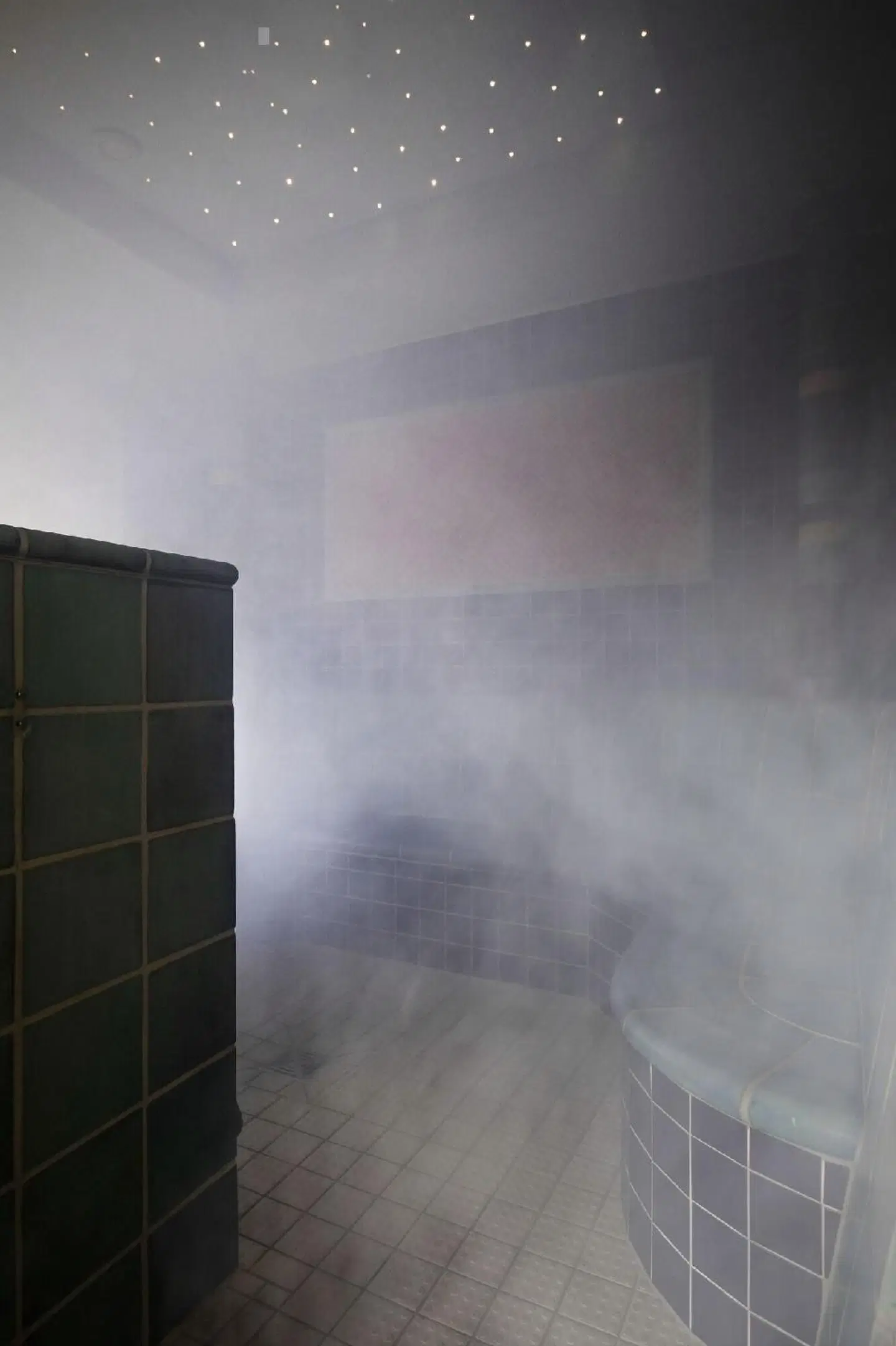 Ringhotel Villa Westerberge HEALTH_BEAUTY