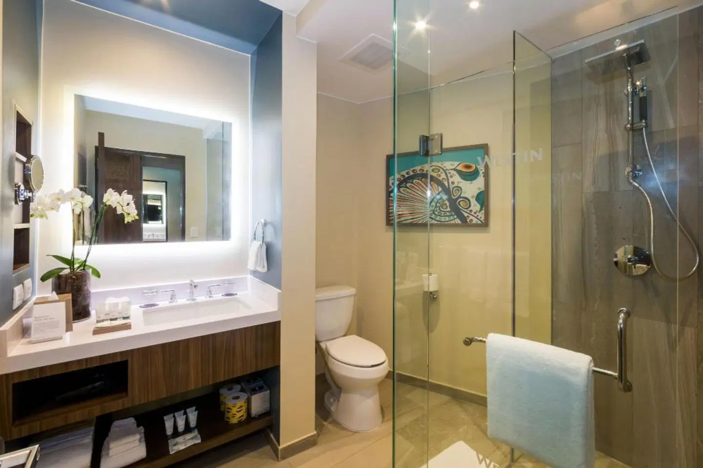 The Westin Los Cabos Resort Villas & Spa Badezimmer