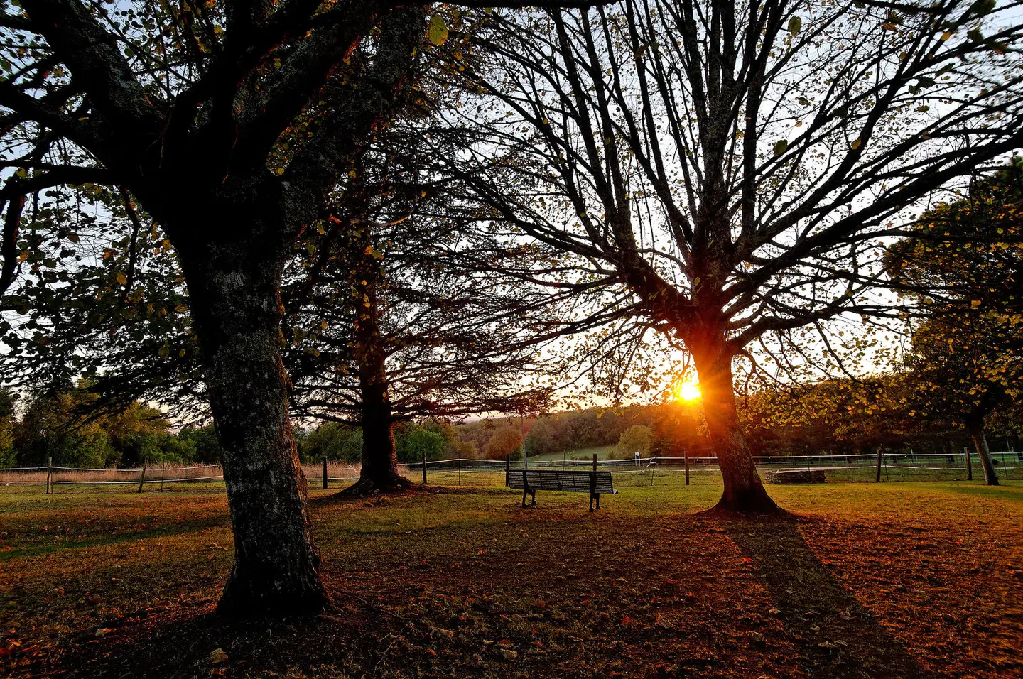 La Metairie Garten
