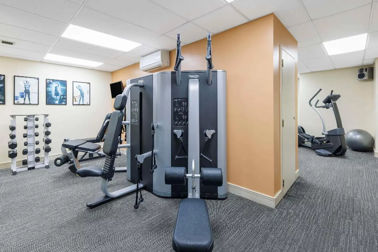 CityLife Wellington SPORTS_AND_LEISURE