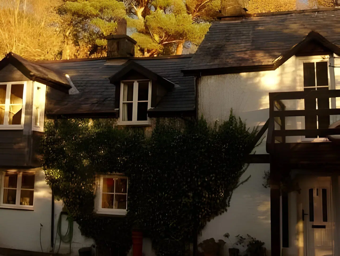 Coed Cae EXTERIOR
