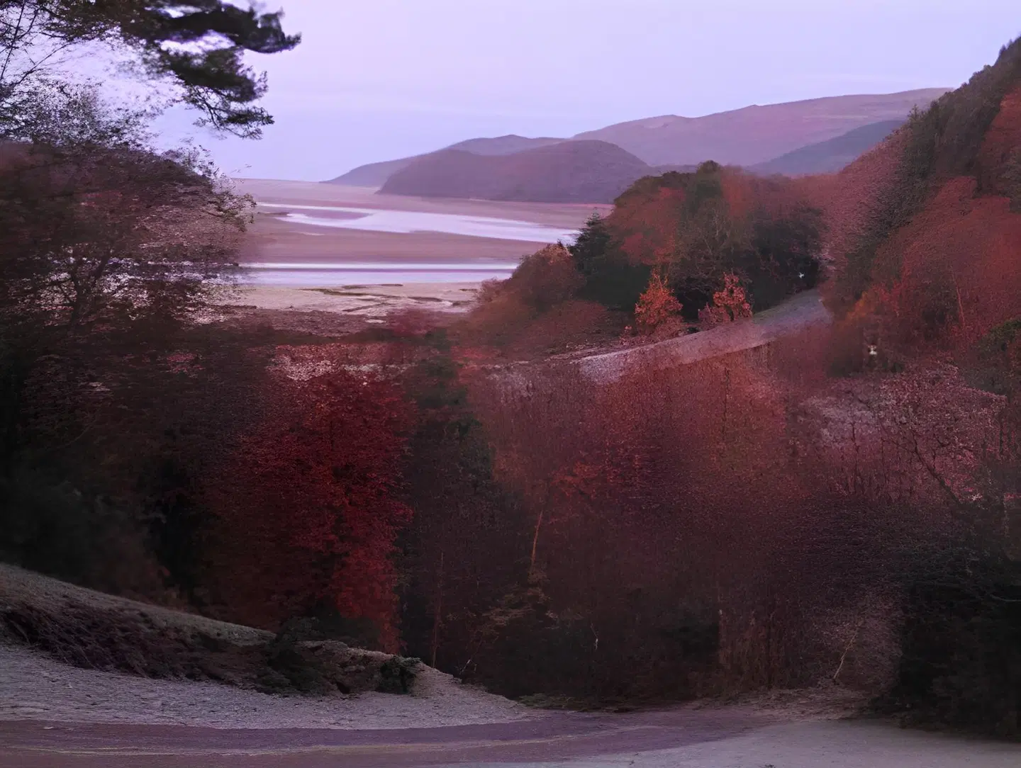 Coed Cae LANDSCAPE