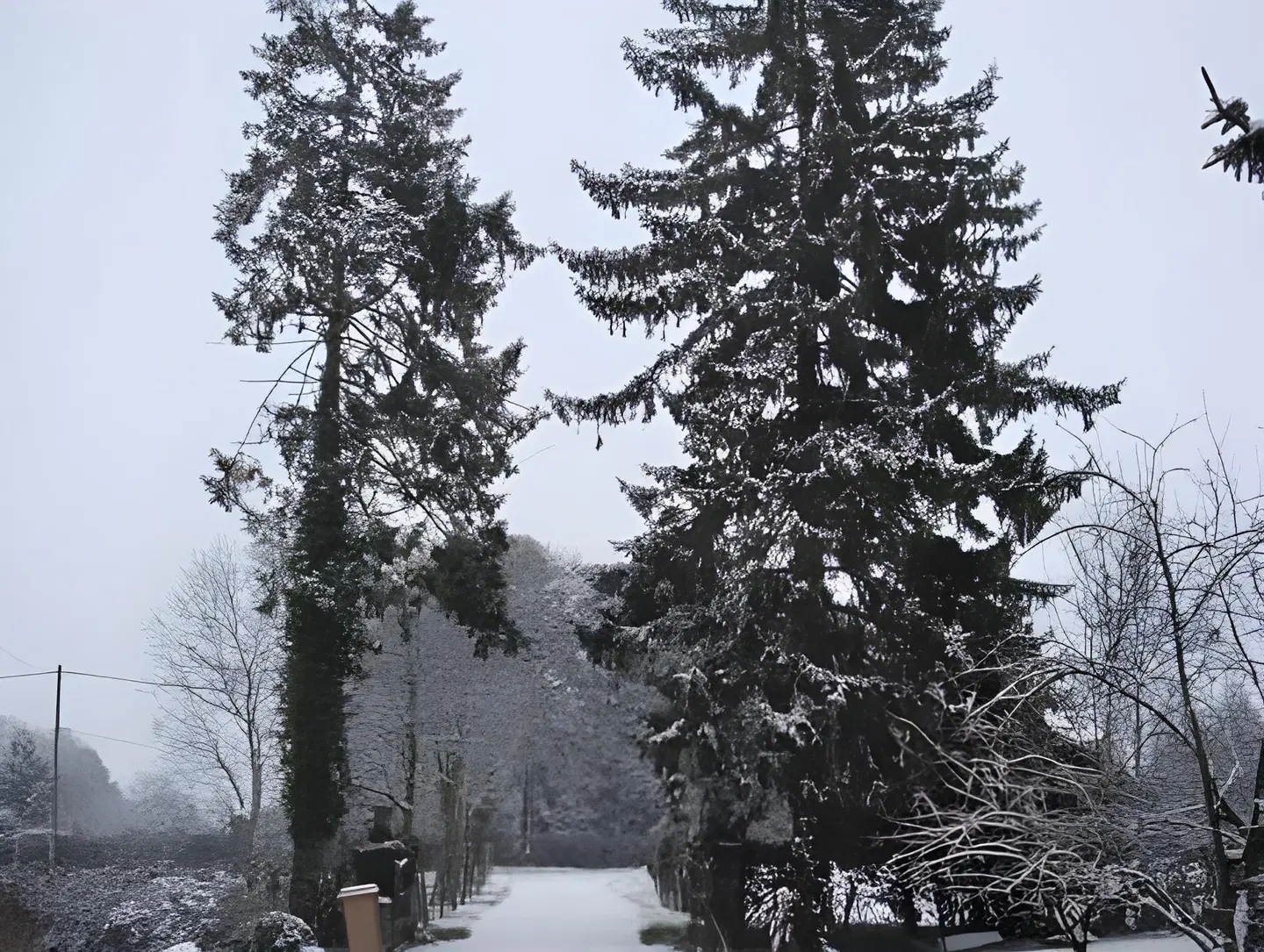 Ferme de la Cacheterie LANDSCAPE