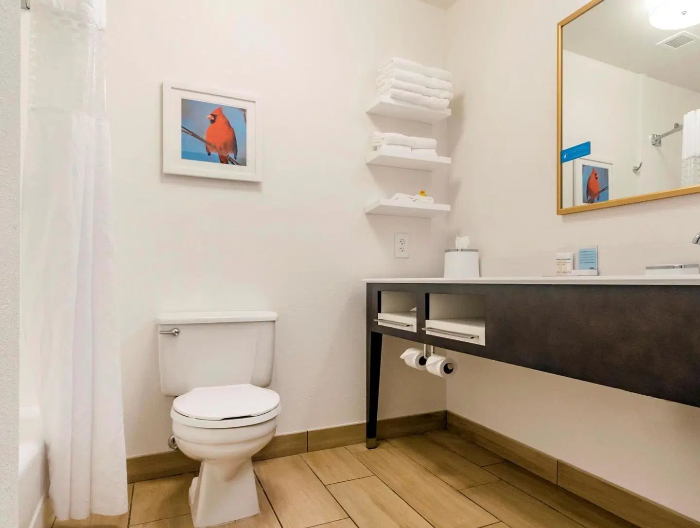 Hampton Inn Richmond Badezimmer