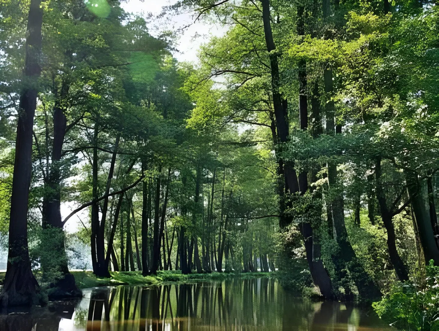 Spreewaldhotel Raddusch LANDSCAPE