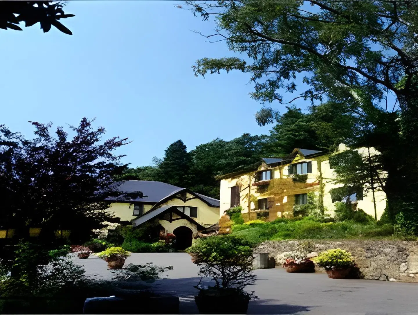 Aherlow House Hotel & Lodges EXTERIOR