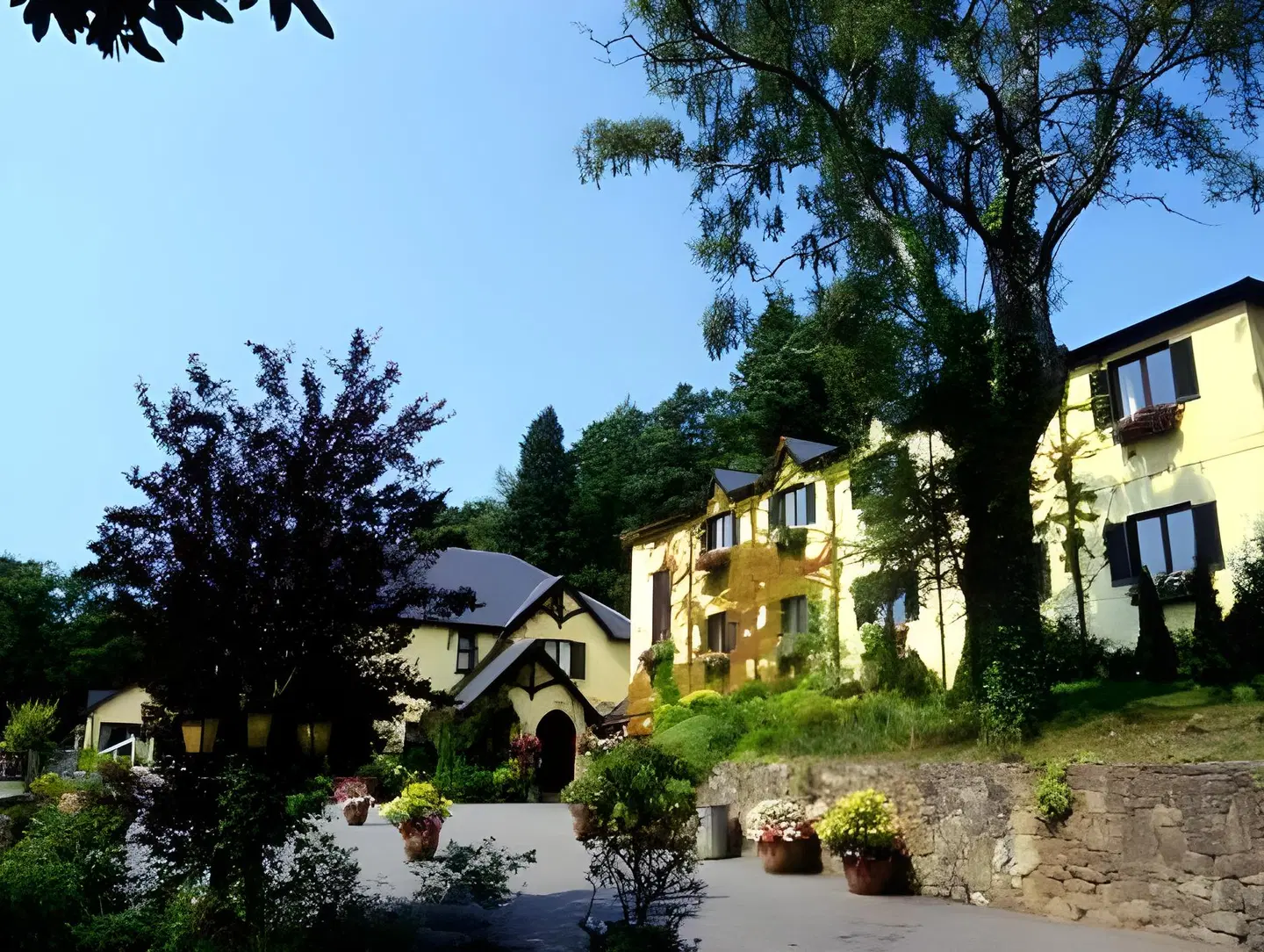 Aherlow House Hotel & Lodges EXTERIOR