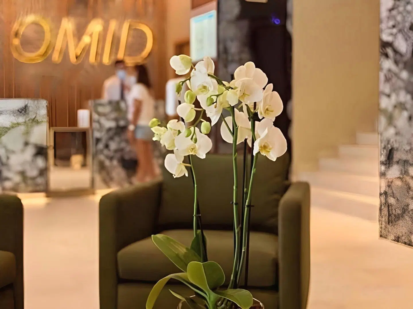Omid Saldanha Hotel LOUNGE_LOBBY