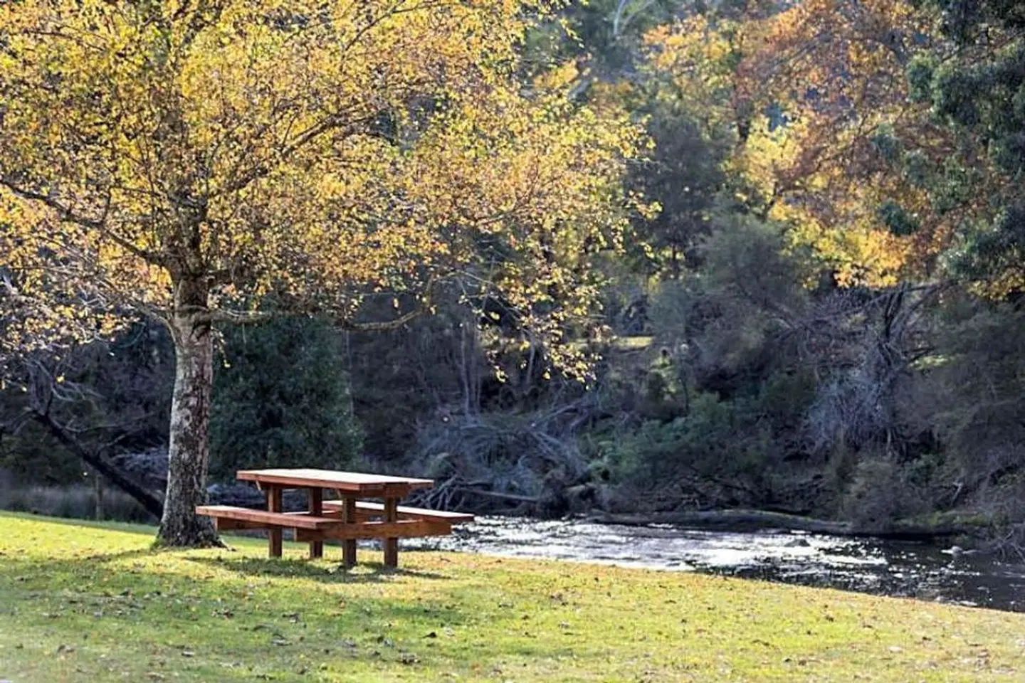 Oscar's on the Yarra LANDSCAPE