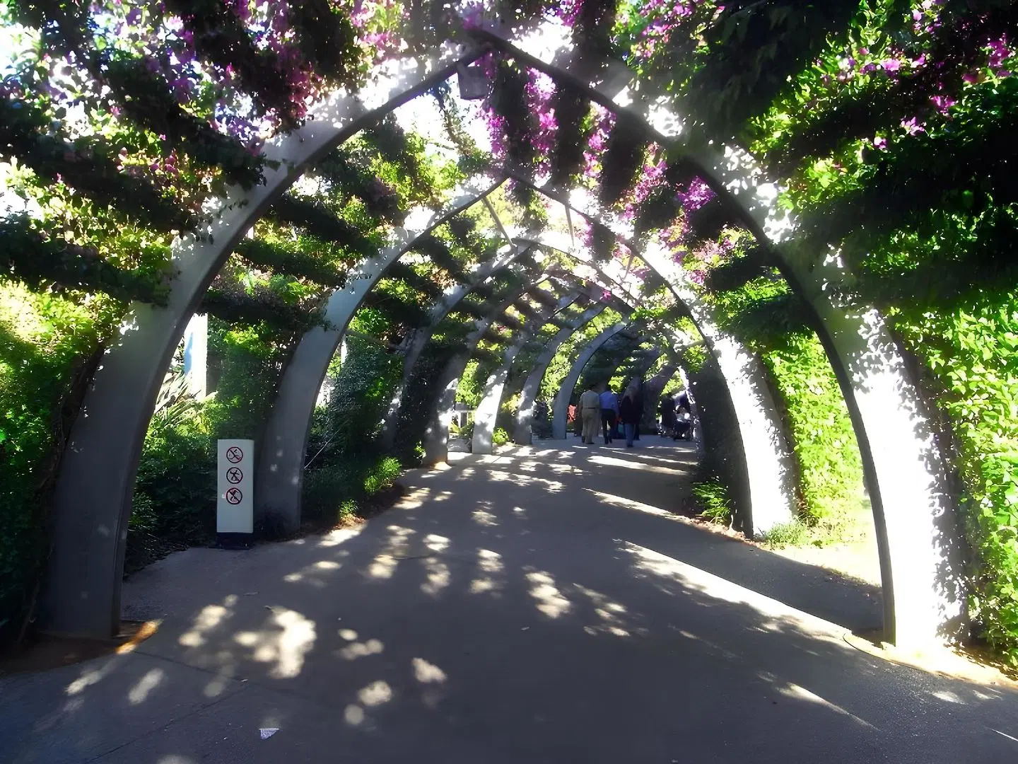Quest Woolloongabba LANDSCAPE