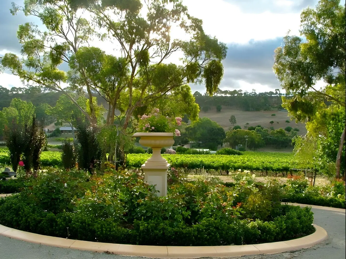 Brice Hill Country Lodge LANDSCAPE