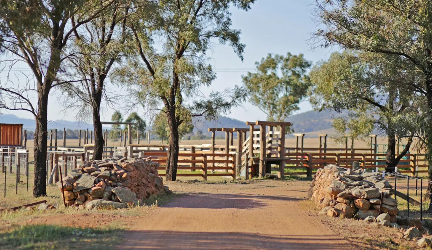 Strathearn Park Lodge Terrasse