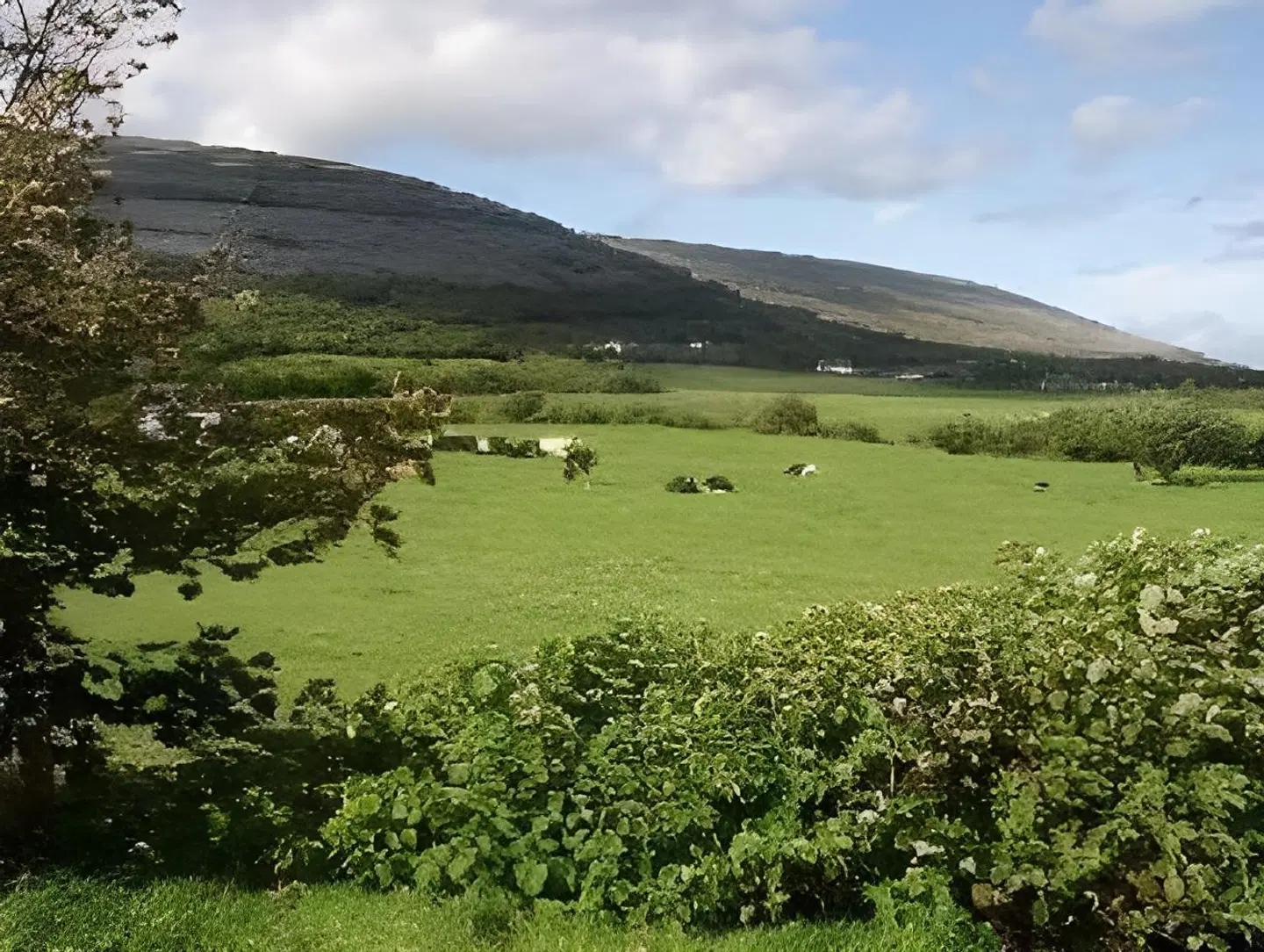Cappabhaile House LANDSCAPE