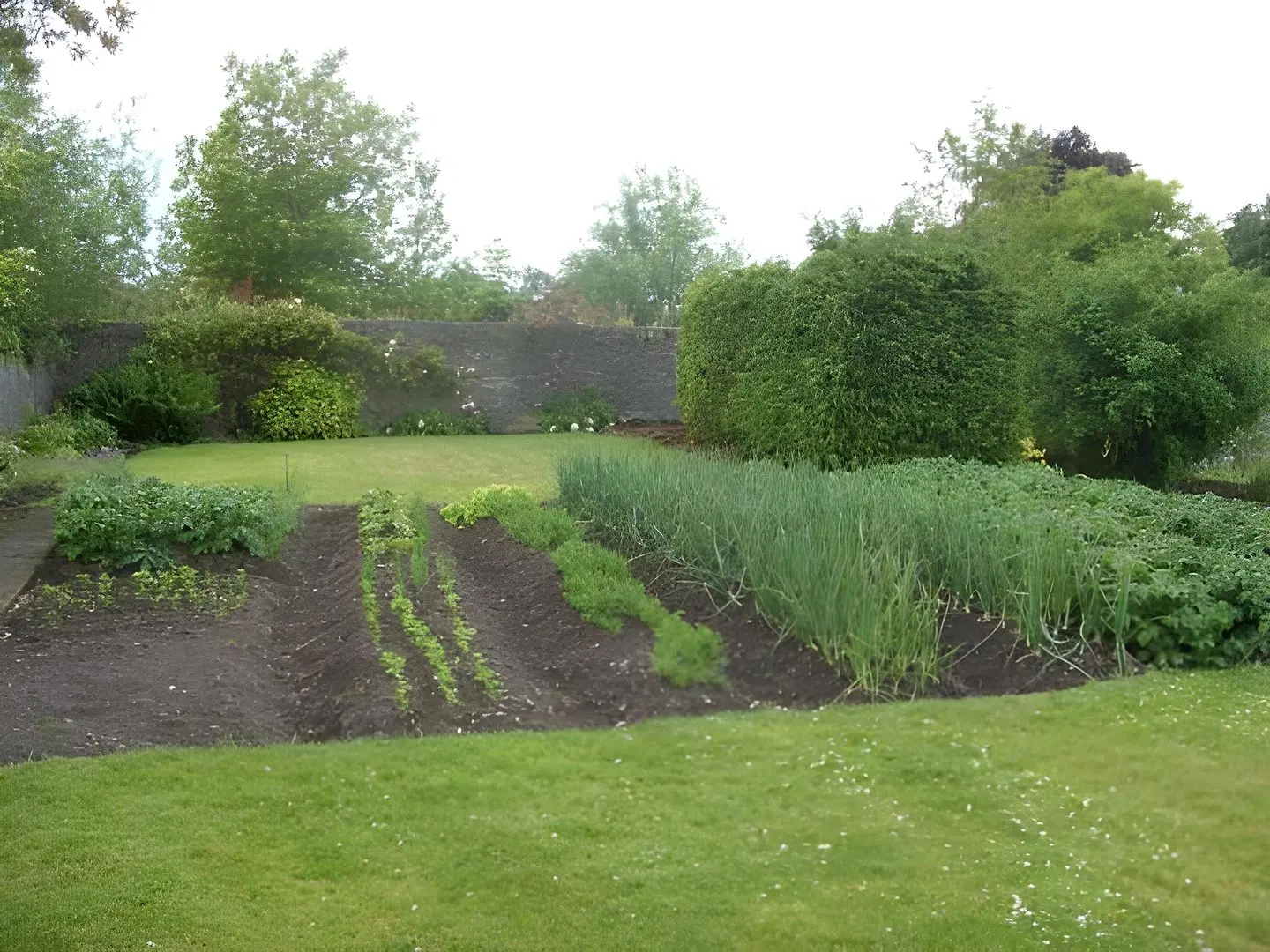 Townsend House Guest House Garten