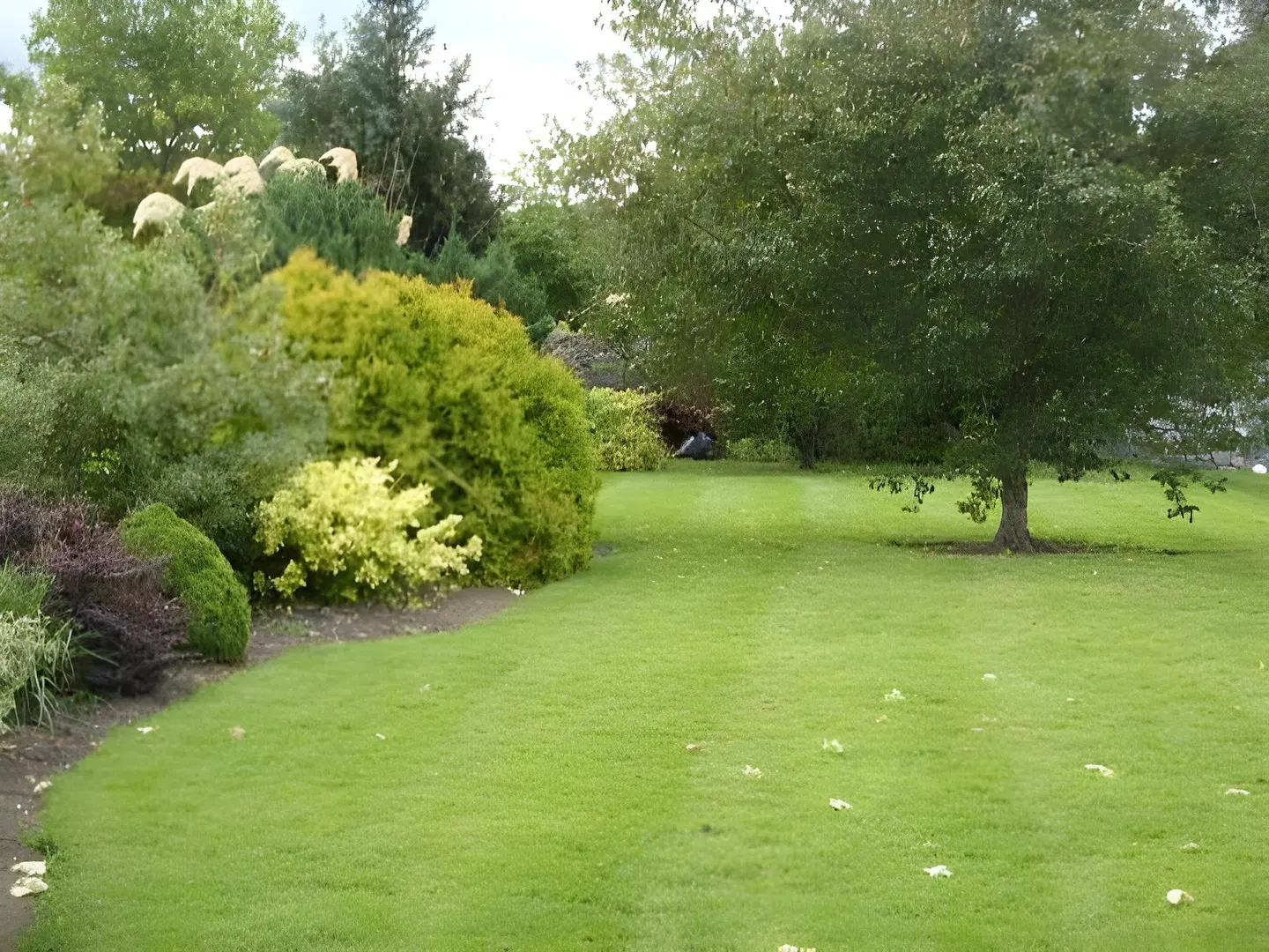 Townsend House Guest House Garten