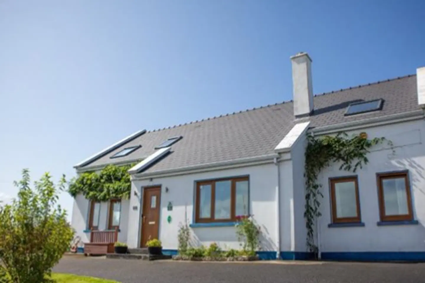 Rossroe Lodge B&B EXTERIOR