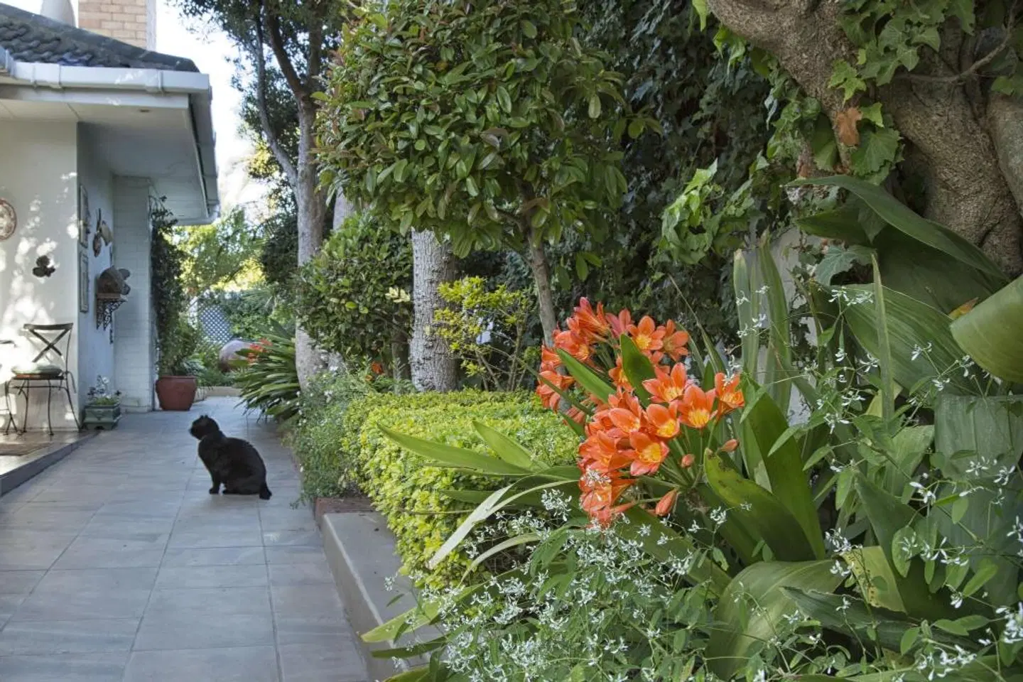 Carslogie House Garten