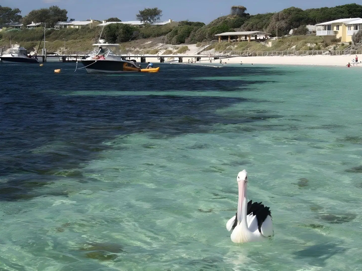 Sorrento Beach Bed & Breakfast SPORTS_AND_LEISURE
