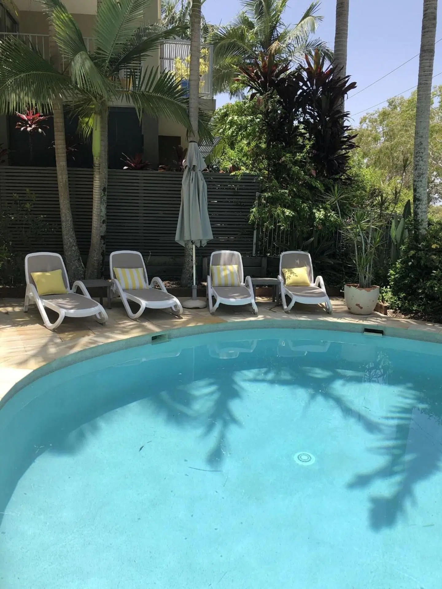 Metzo Noosa Resort OUTDOOR_POOL