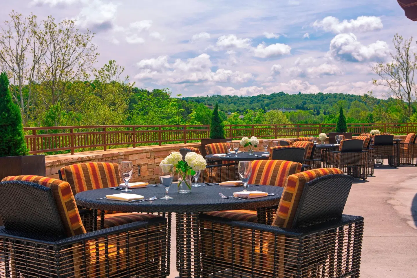 MeadowView Conference Resort & Convention Center Terrasse