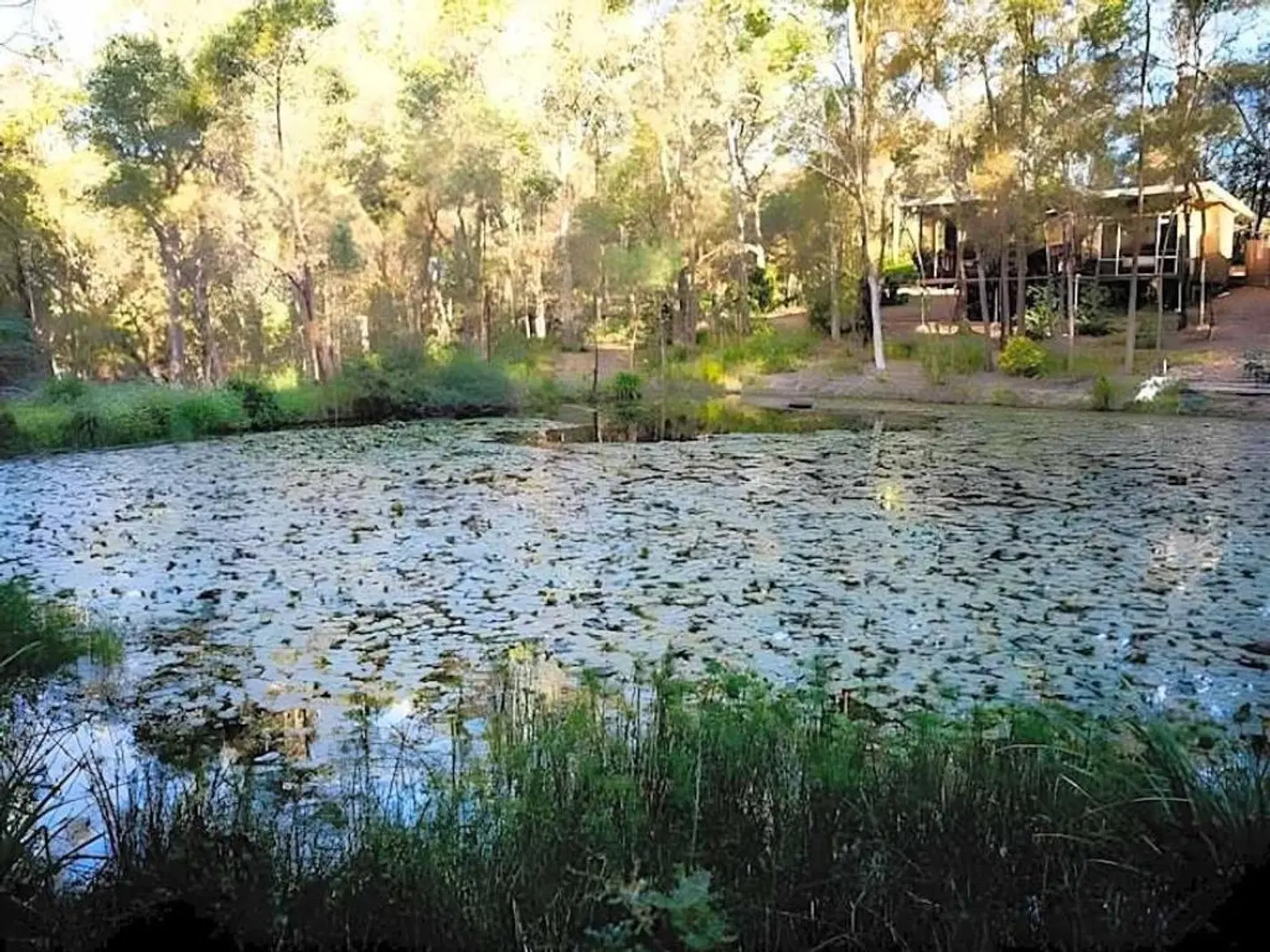 Mt Cotton Retreat LANDSCAPE